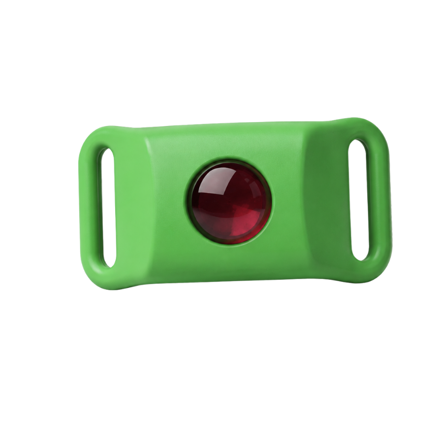 Kanivora