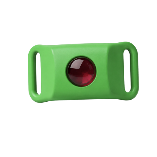 Kanivora