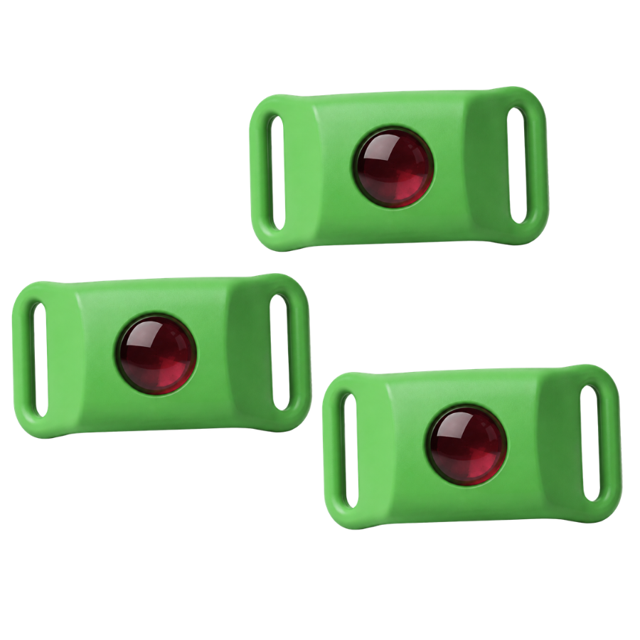 Kanivora